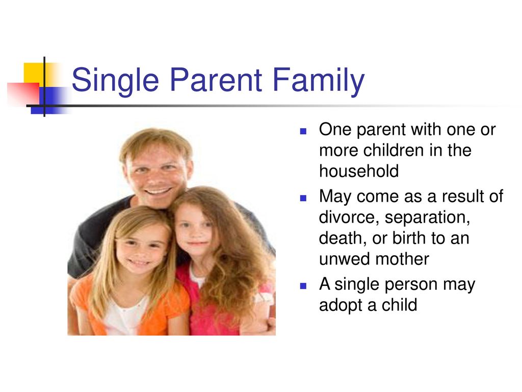 Chapter 2: Family Structures - ppt download