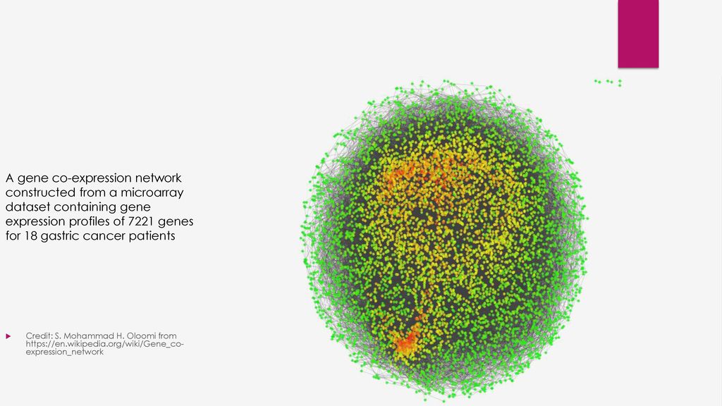 Gene co expression network analysis ppt download