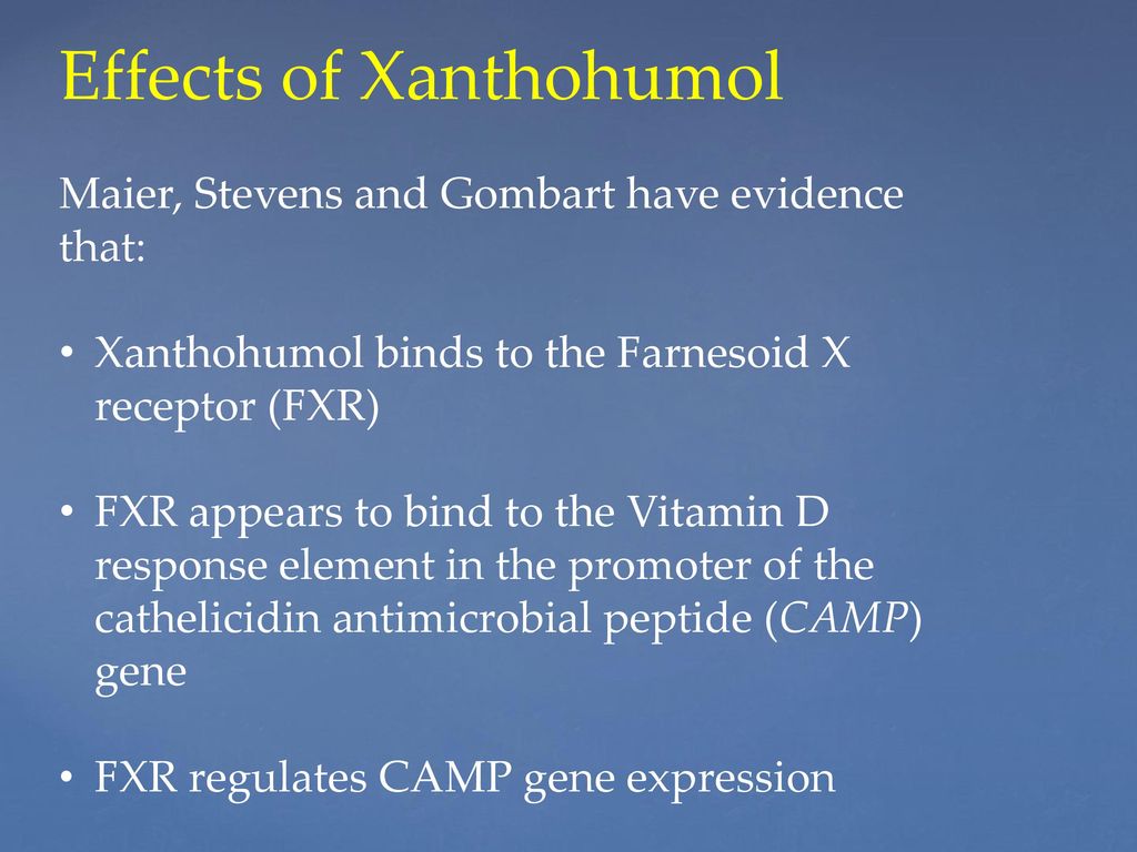 Effects of Xanthohumol