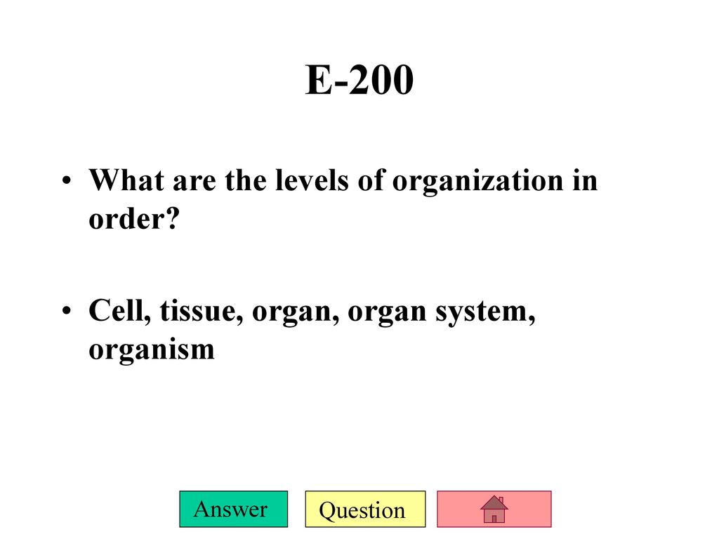 science-jeopardy-facts-about-evolution-what-s-your-fossil-record-ppt