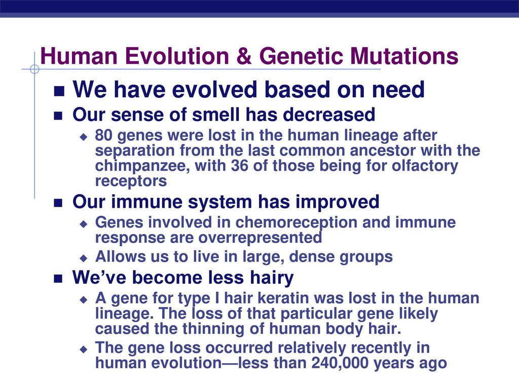 Mutations p. 259 – ppt download