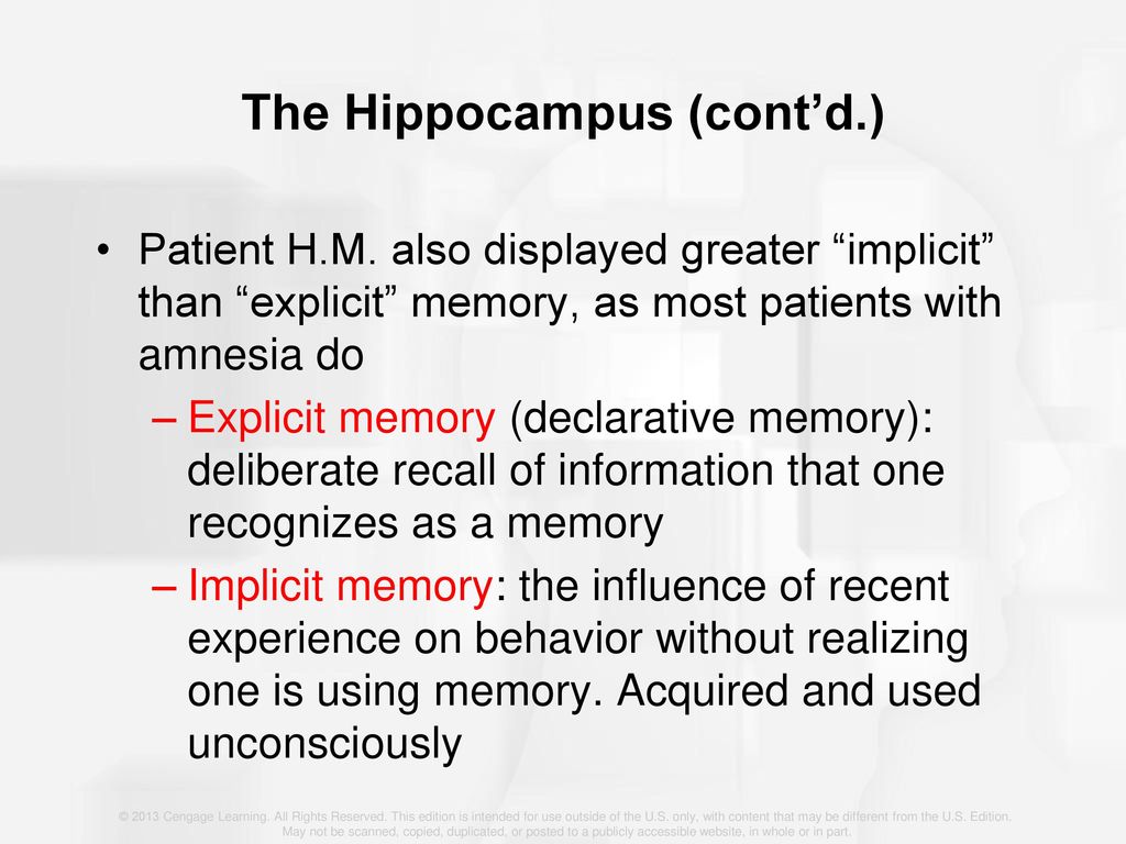 The Hippocampus (cont’d.)