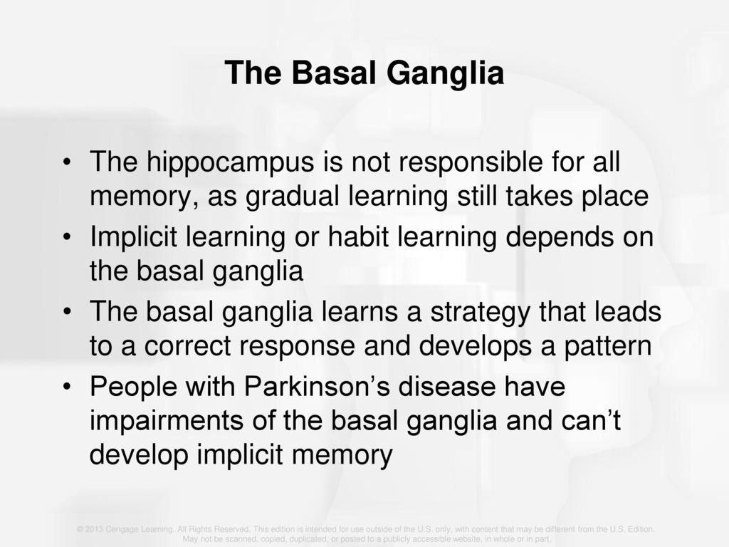 The Basal Ganglia The hippocampus is not responsible for all memory, as gradual learning still takes place.