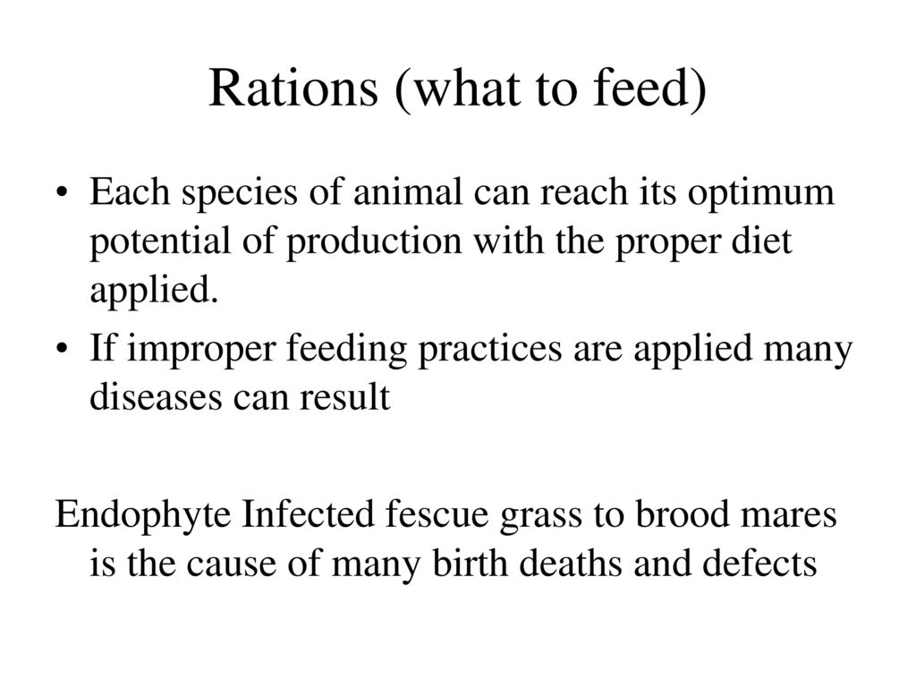 Rations (what to feed) Each species of animal can reach its optimum potential of production with the proper diet applied.