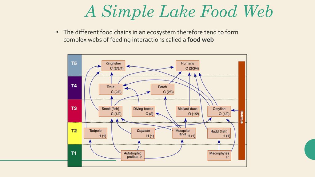 Unit 2 The Living World Biology Diagrams