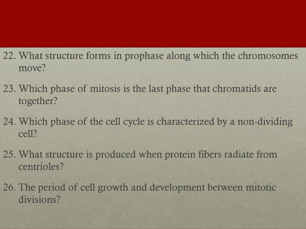What stage is it?? The sister chromatids are moving apart. ppt download