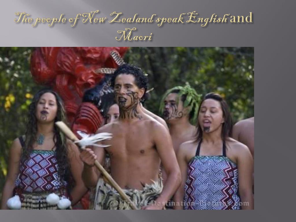 Как будет племя на английском. Маори и мориори. Мориори племя. Новая Зеландия люди современные. Народ мориори фото.