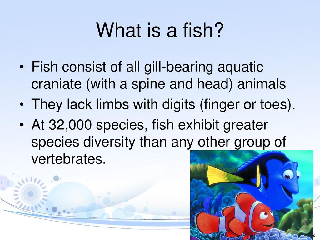 fish-ppt-download