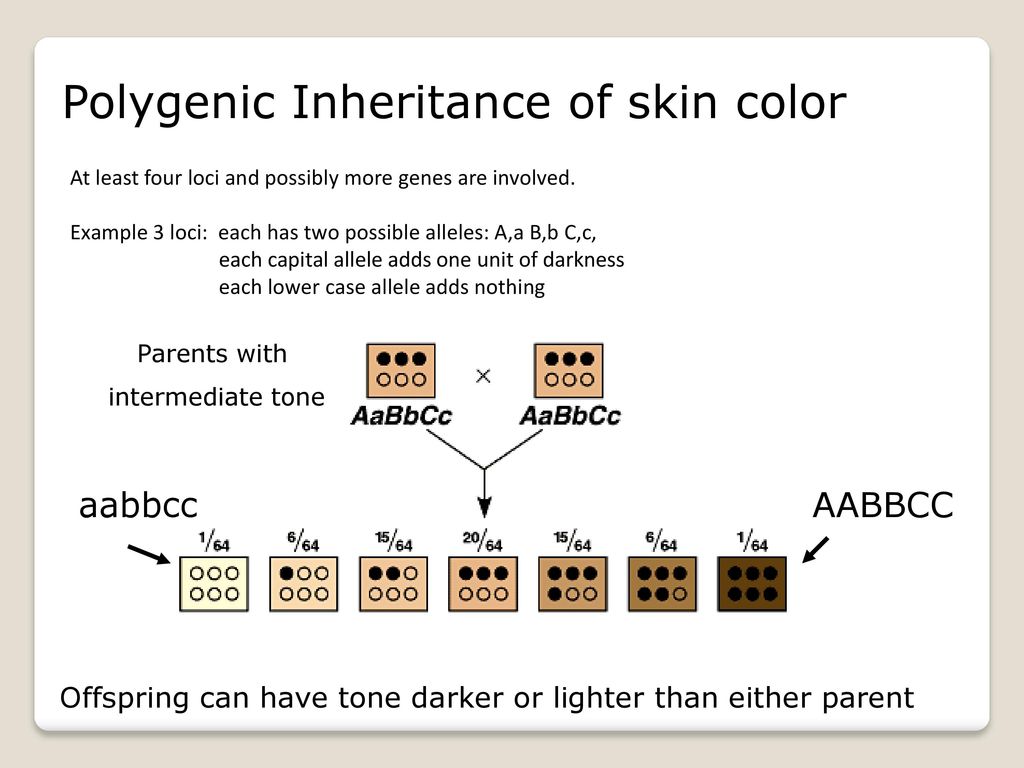 polygenic inheritance skin colour