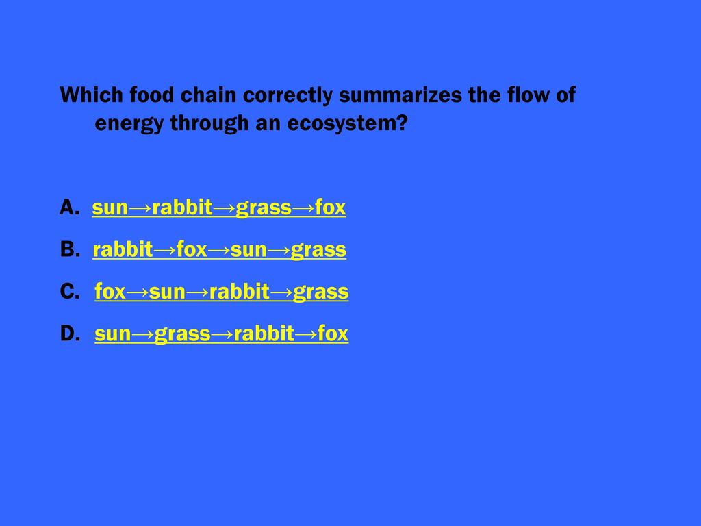 Interactions in Ecosystems Cell Function and Structure Biology Diagrams