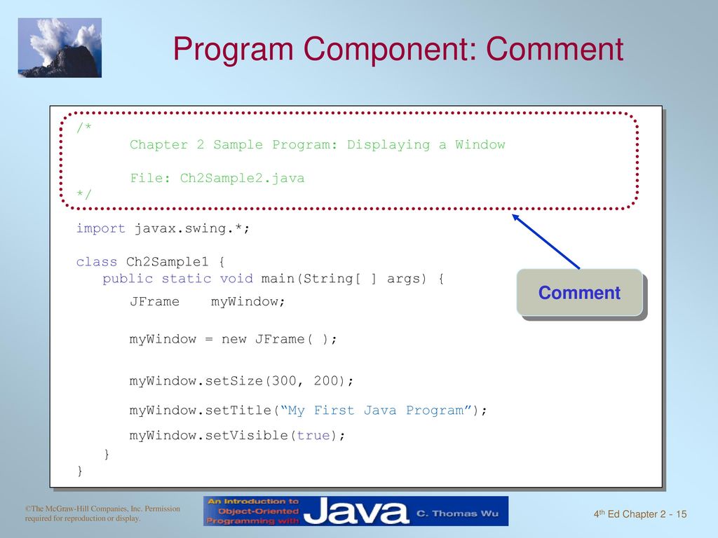 Program Component: Comment