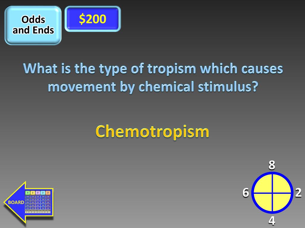 Welcome To All About Plants Jeopardy Ppt Download welcome-to-all-about-plants-jeopardy-ppt-download