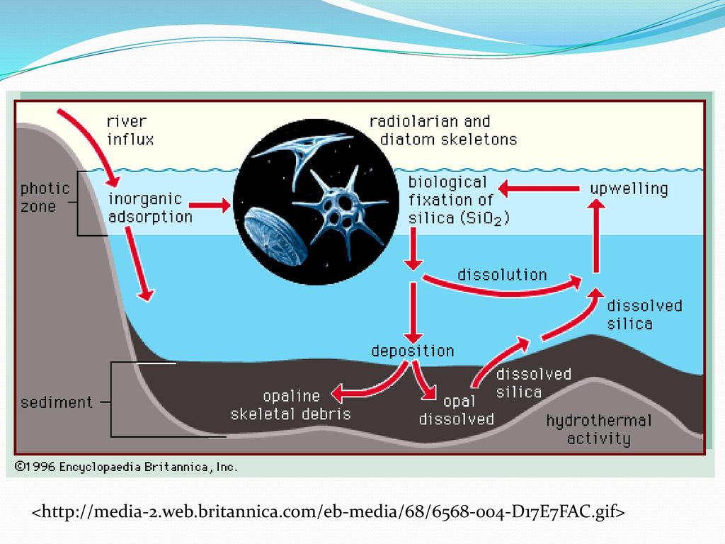 Zone definition. Oceanic Silica.