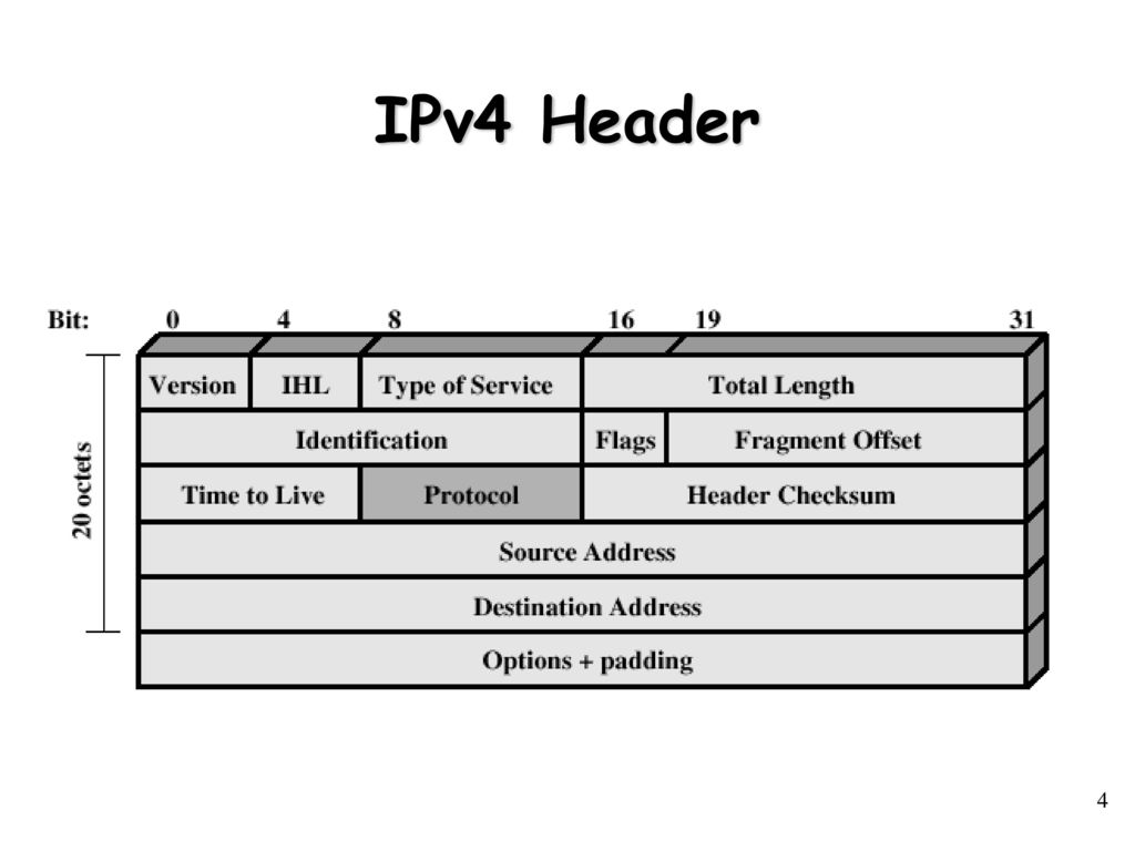 Page id header. Структура пакета ipv4. Структура заголовка ipv4. Формат пакета ipv4. Ipv4 header.
