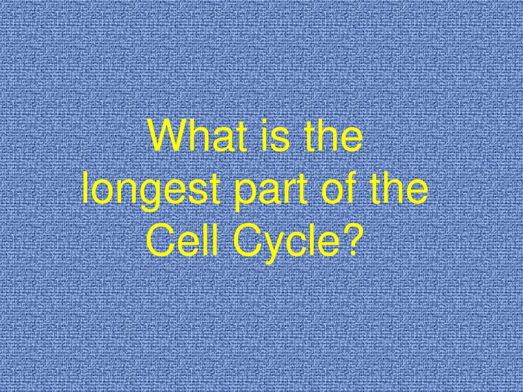 What is the longest part of the Cell Cycle