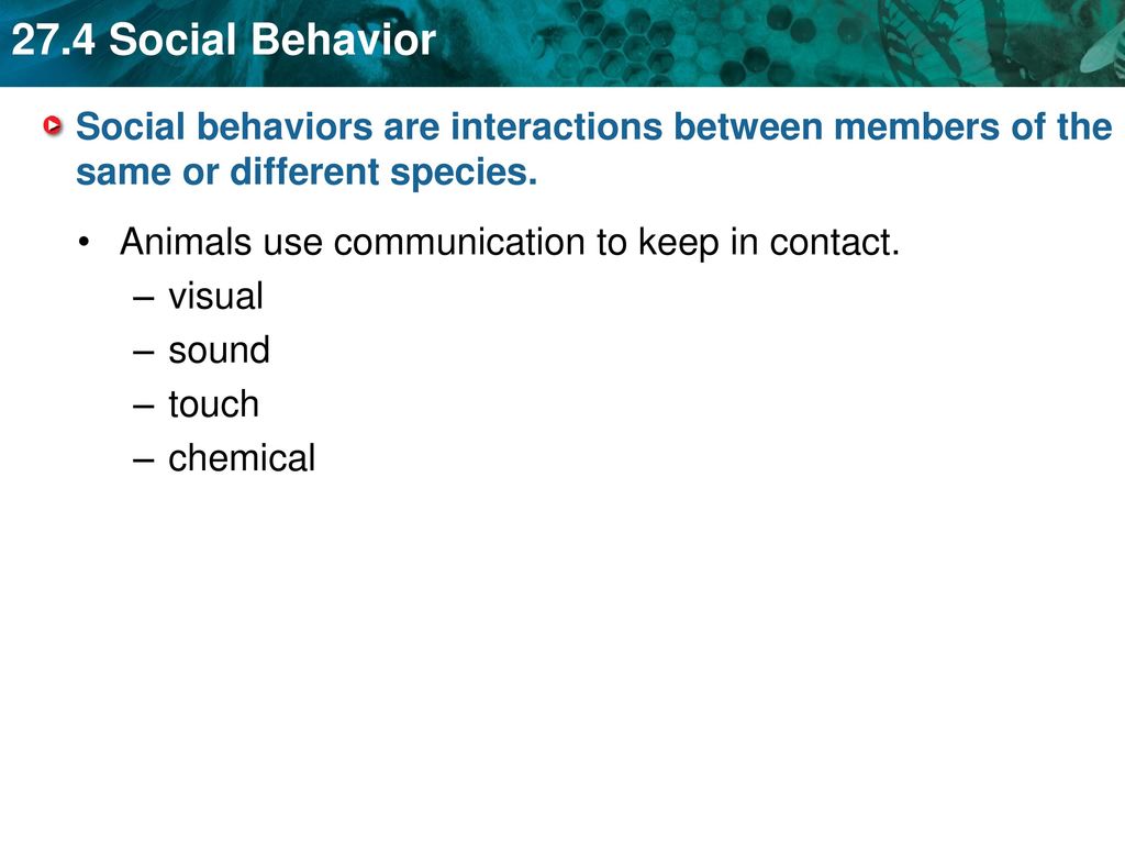 Social behaviors are interactions between members of the same or different species.
