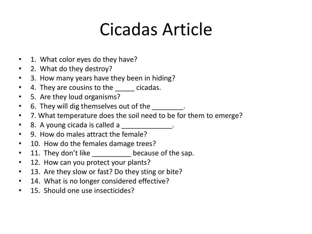 Cicadas Article 1. What color eyes do they have