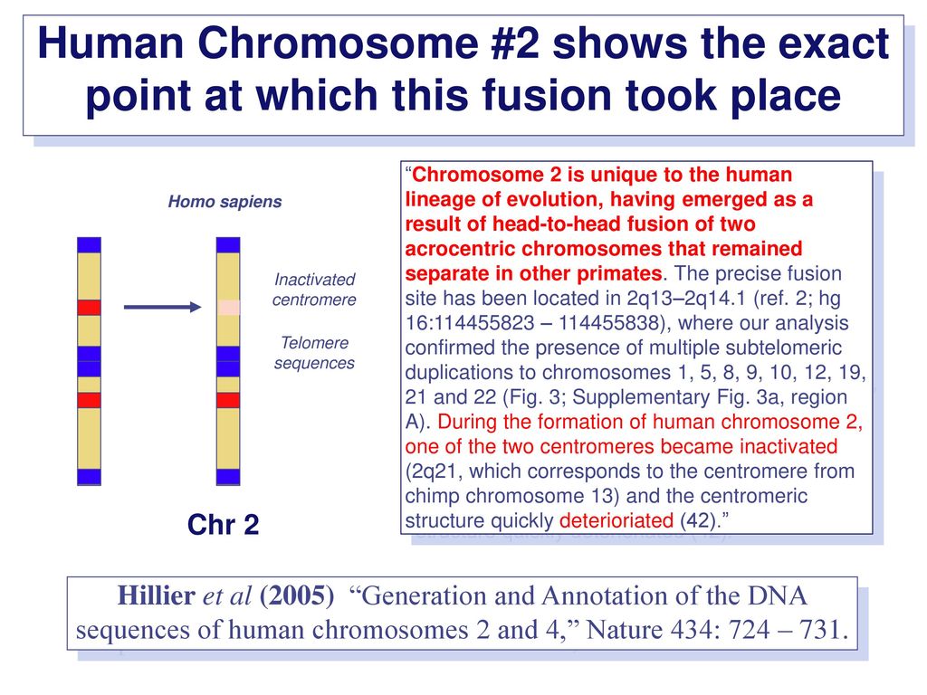 Evidence of Evolution by Natural Selection - ppt download
