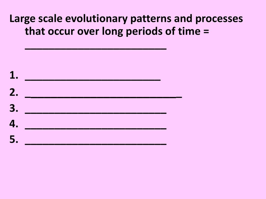 PATTERNS OF EVOLUTION Chapter 16 & ppt download