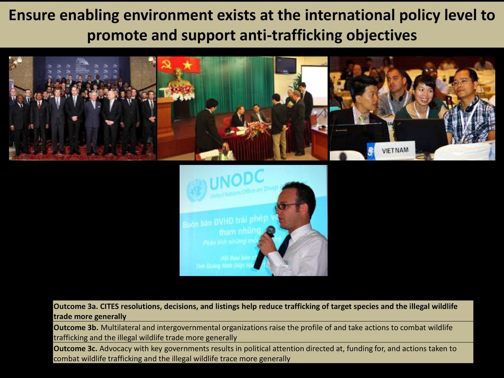 Ensure enabling environment exists at the international policy level to promote and support anti-trafficking objectives
