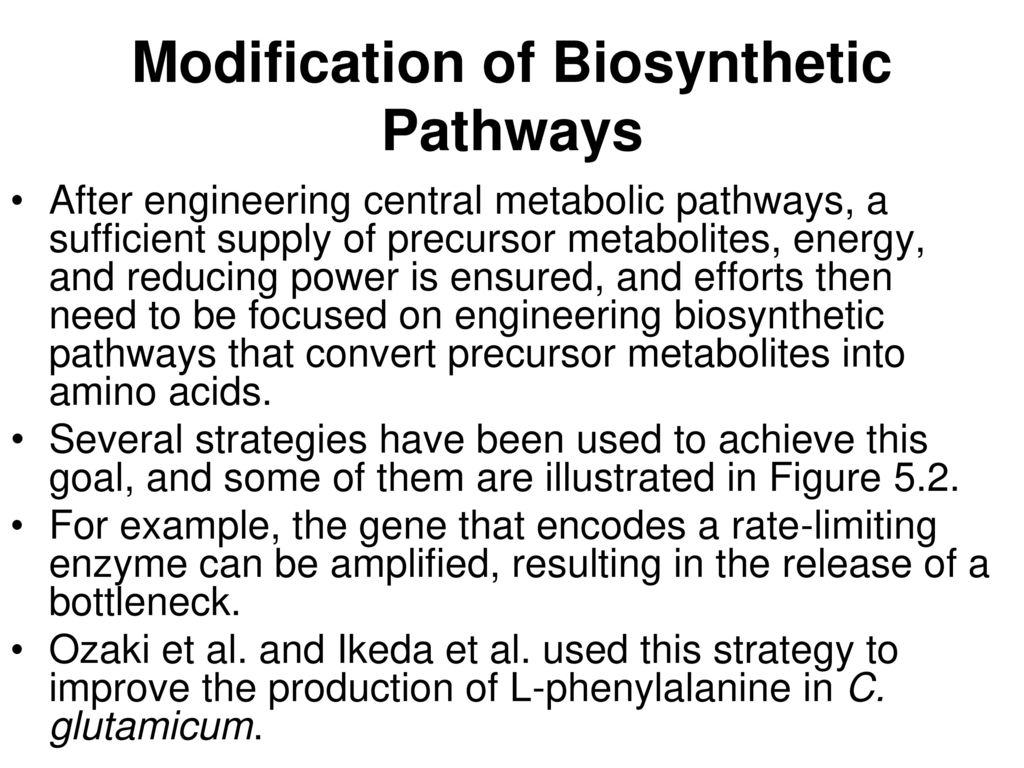 Modification of Biosynthetic Pathways