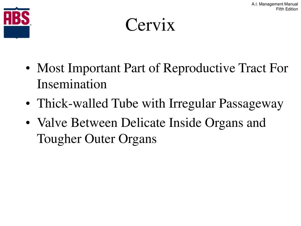 Anatomy Physiology Of Reproduction Ppt Download