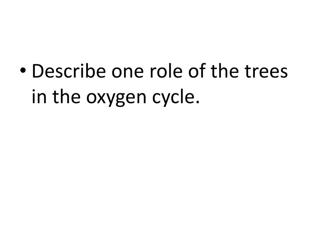 Describe one role of the trees in the oxygen cycle.