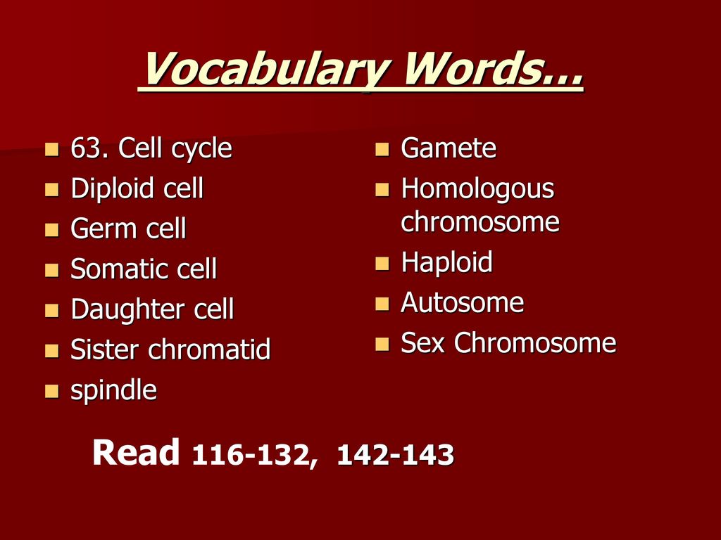 Sex Vocabulary Words