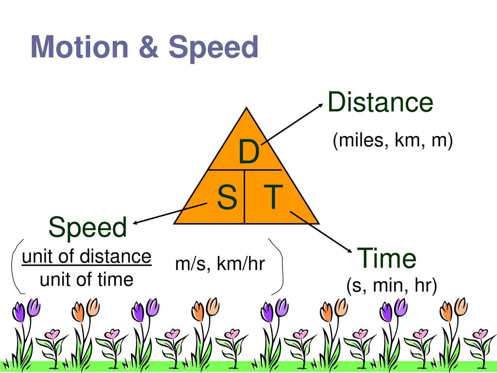 Motion & Speed Ch ppt download