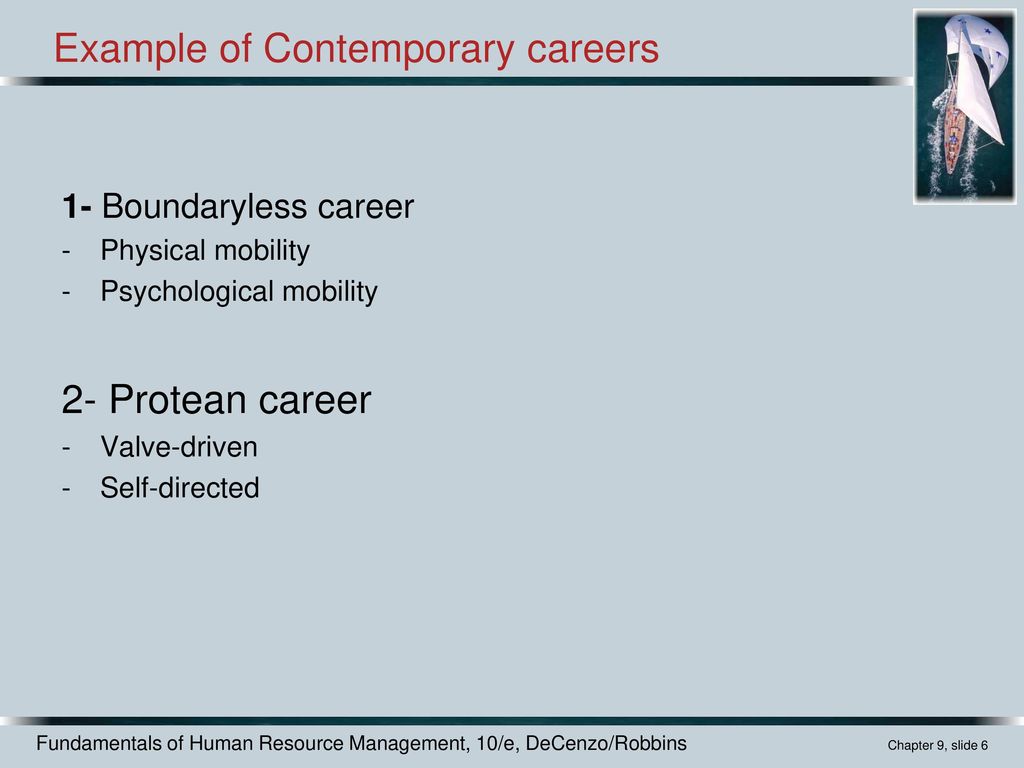 protean career example