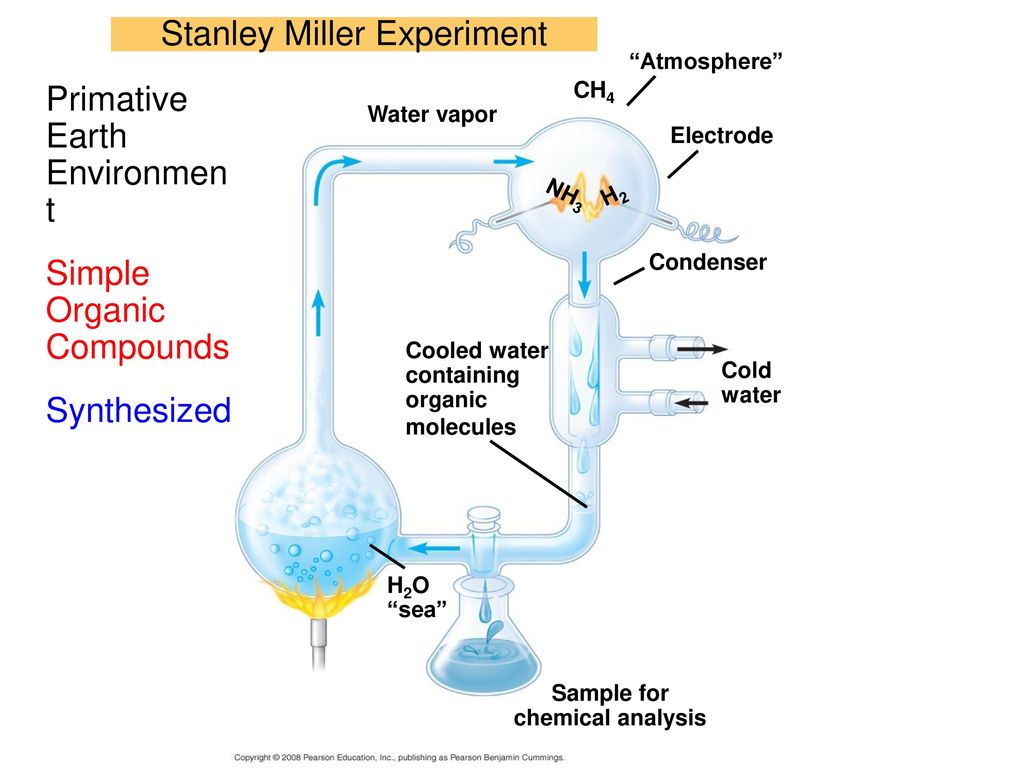 Опыты миллера доказали. Стэнли Ллойд Миллер эксперимент. Эксперимент Миллера 1953. Эксперимент Стэнли Миллера. Абиогенез эксперимент Миллера.