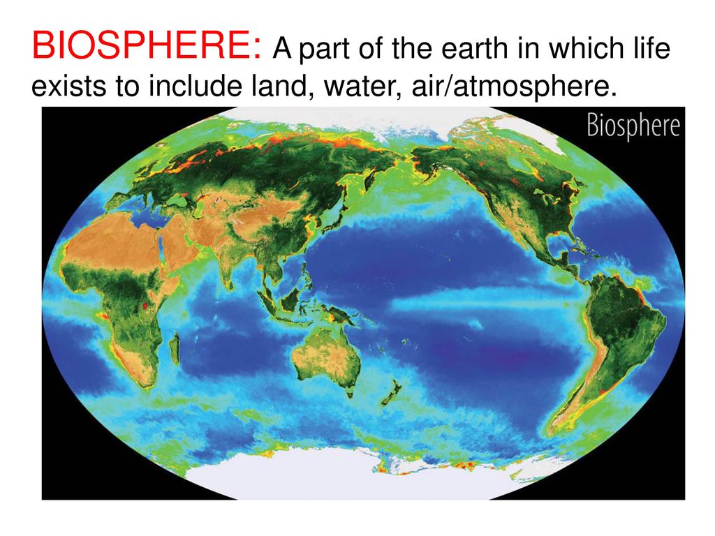 BIOSPHERE: A part of the earth in which life exists to include land, water, air/atmosphere.