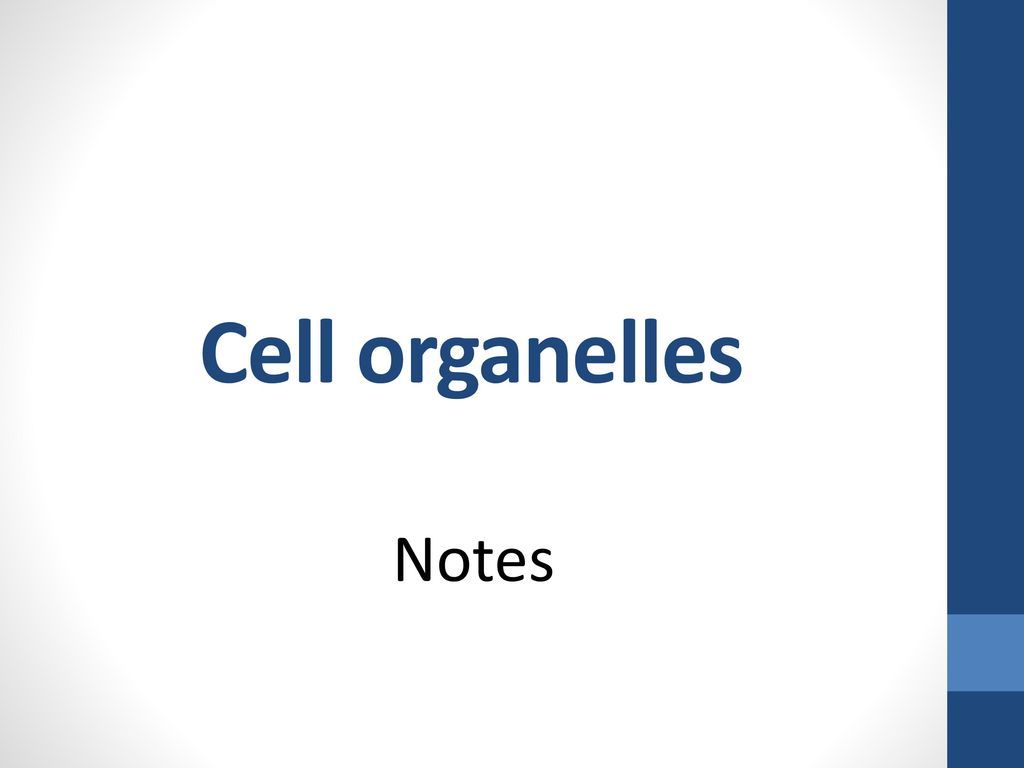 cell organelles power notes