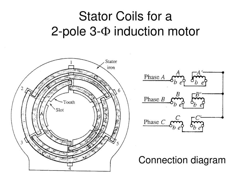 Stator Coils for a 2-pole 3-? induction motor.