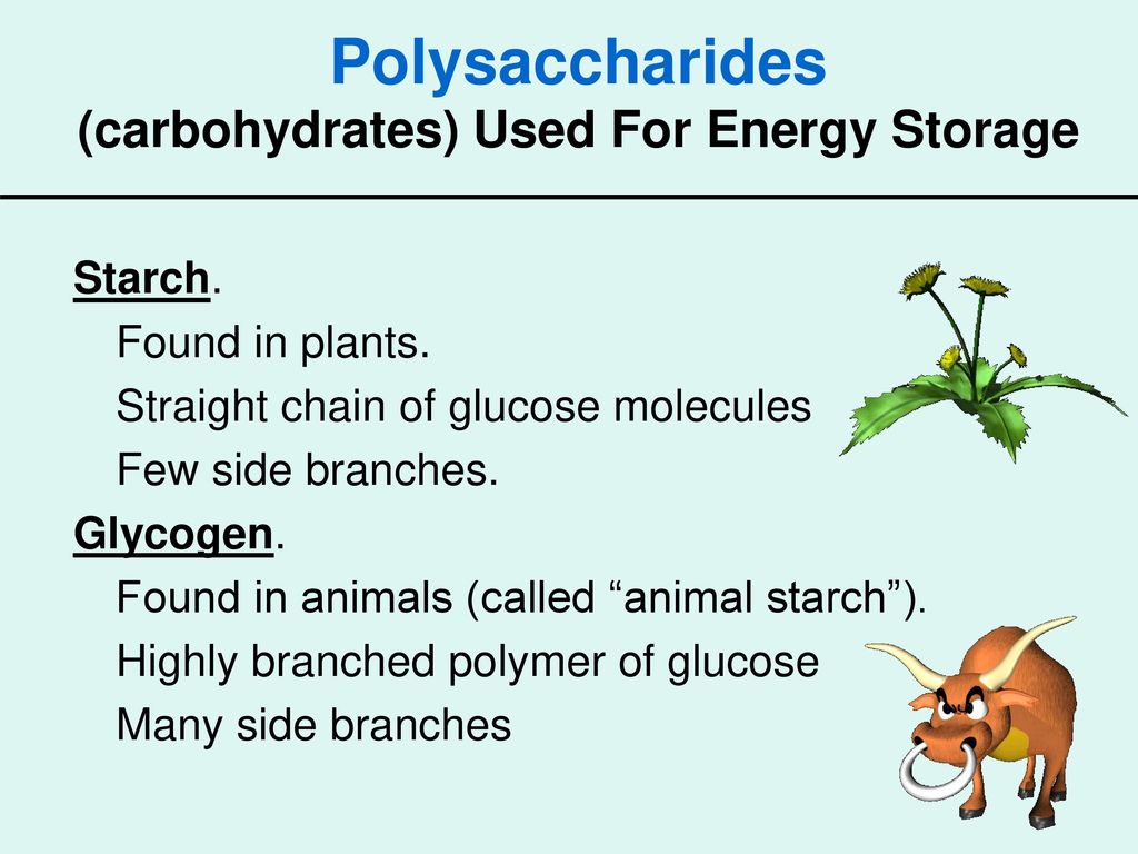 Carbohydrates. - ppt download