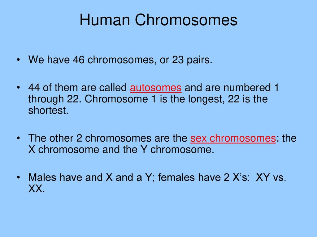 Human Chromosomes We have 46 chromosomes, or 23 pairs.