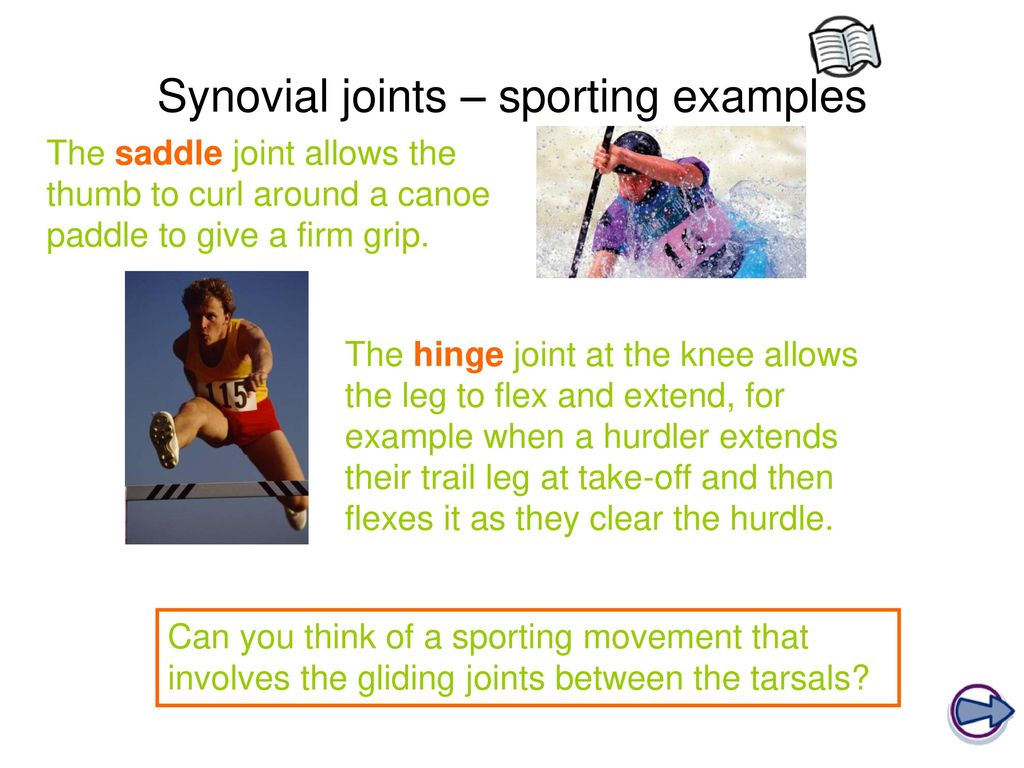 Synovial joints – sporting examples