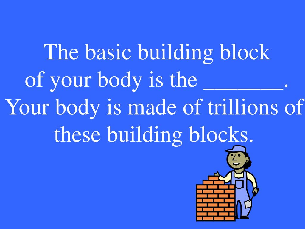 The basic building block of your body is the _______.