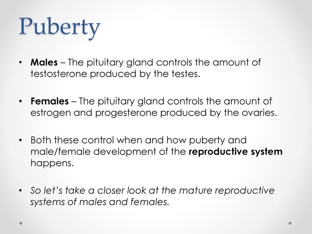 Puberty Males – The pituitary gland controls the amount of testosterone produced by the testes.