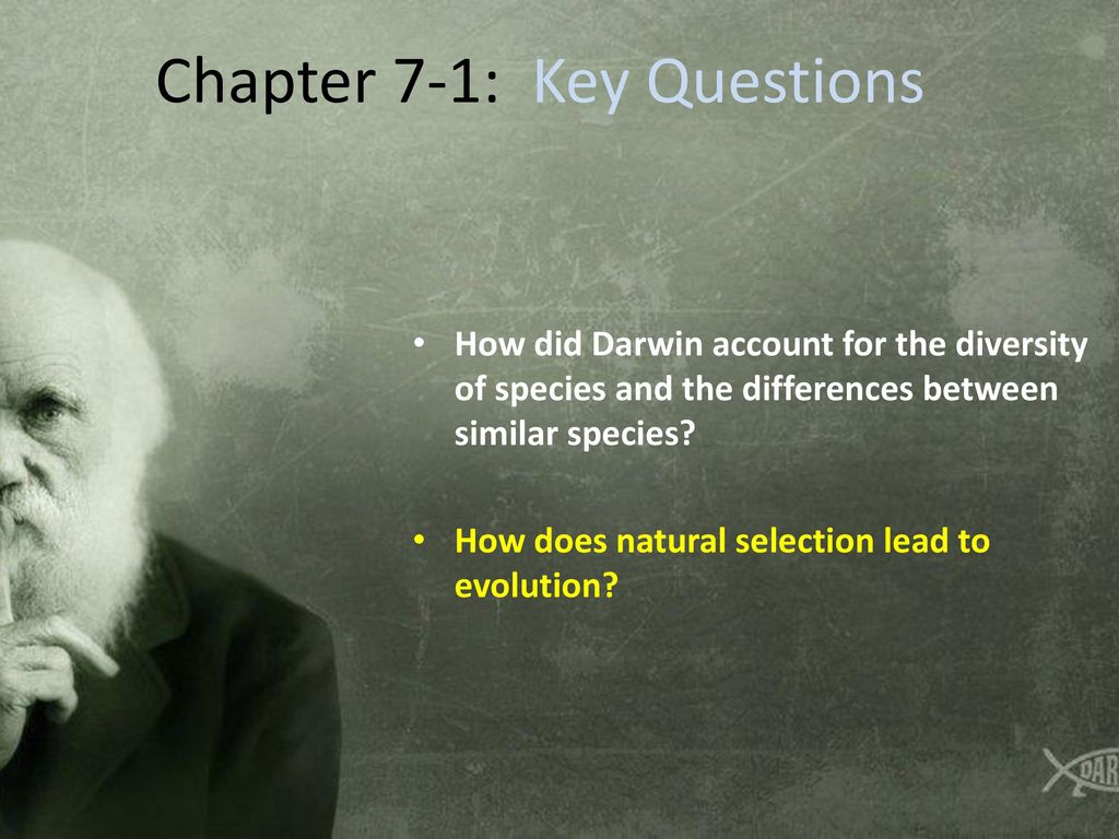 Chapter 7-1: Key Questions