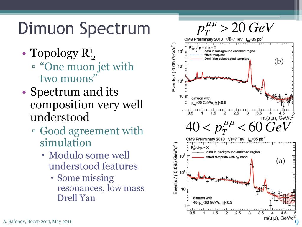 Dimuon Spectrum Topology R12