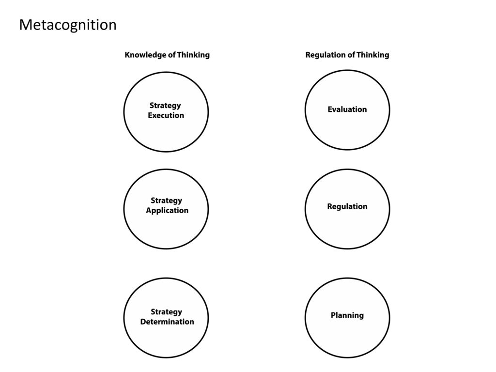 Authenticity, Simulation and Metacognitive Learning ppt download