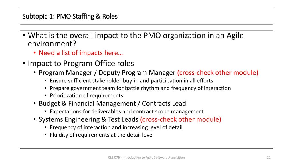 Subtopic 1: PMO Staffing & Roles