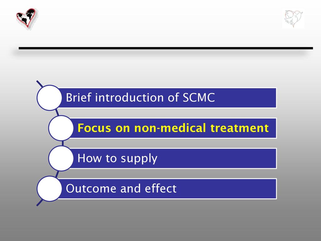 Brief introduction of SCMC