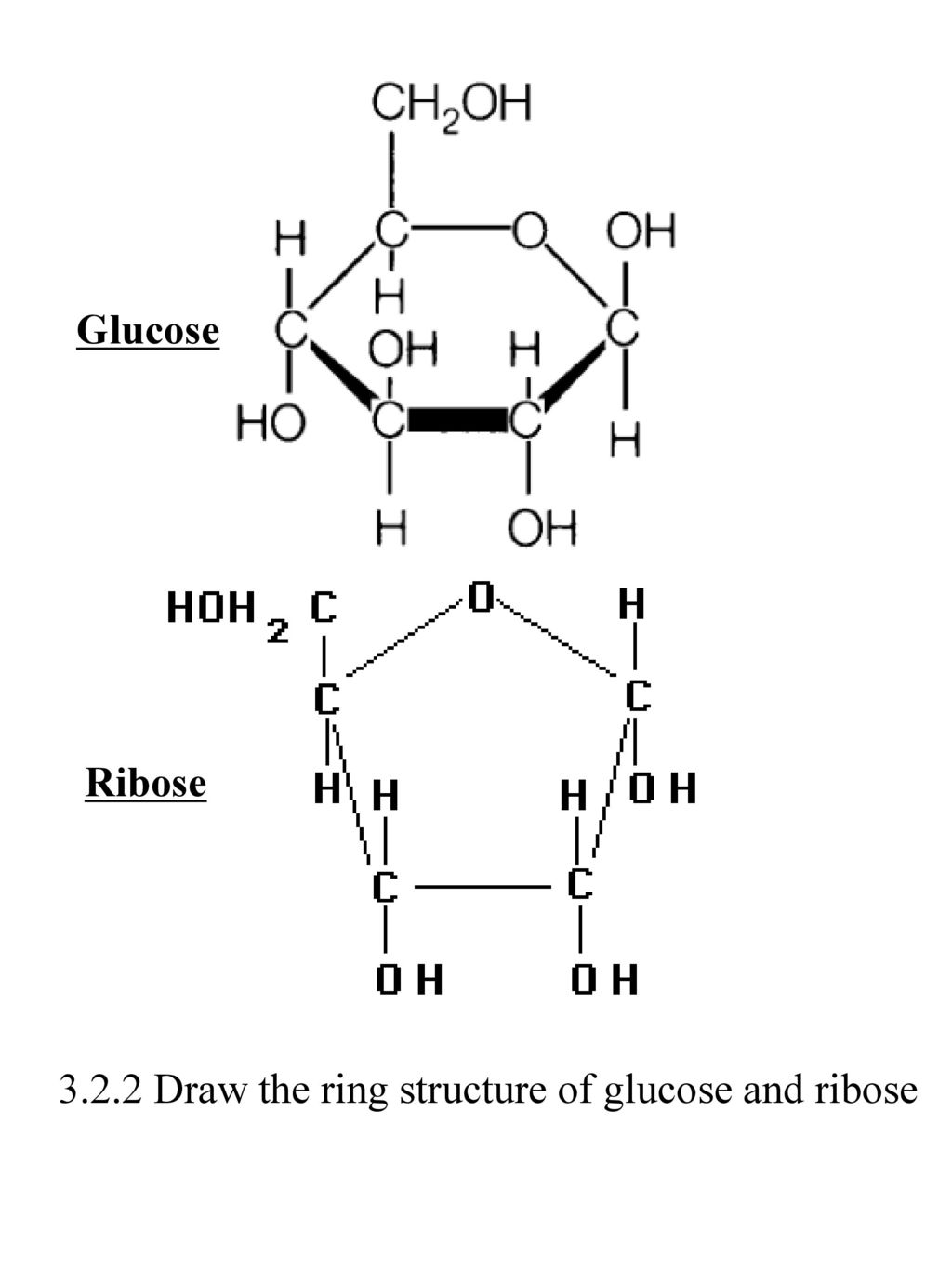 Сахар рибоза. Glucose Ring structure. Molecular structure of glucose. Глюкоза и рибоза. Рибоза пептид.