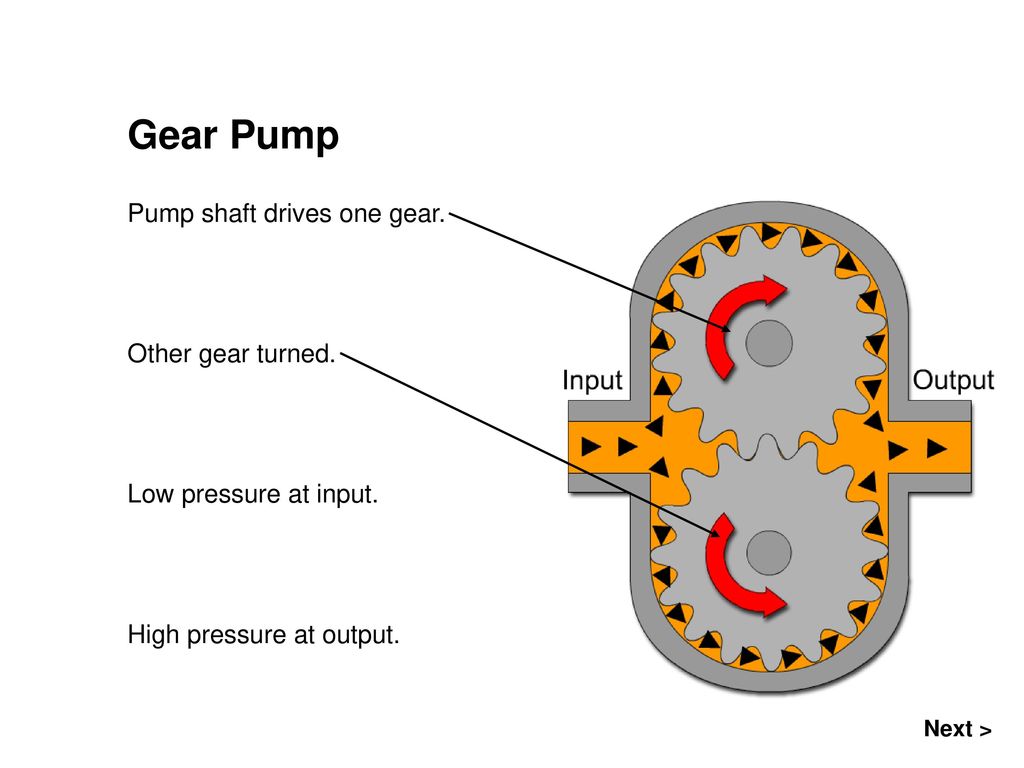 Gear Pump Pump shaft drives one gear. Other gear turned.