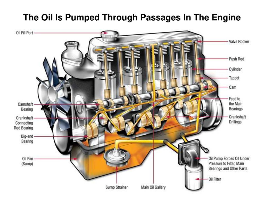 The Oil Is Pumped Through Passages In The Engine