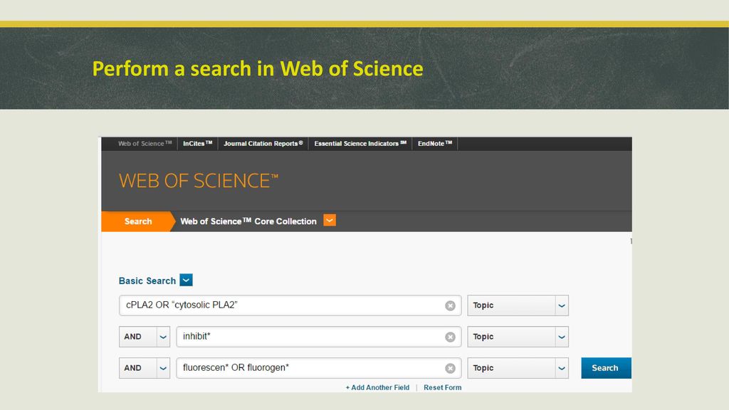 Library resources and citation tools for chemistry honours students