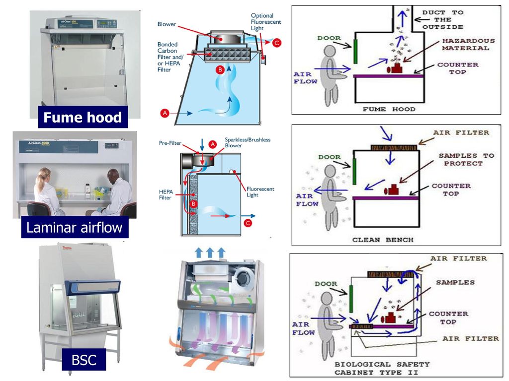 Biosafety Cabinet Bsc What You Need To Know Ppt Download