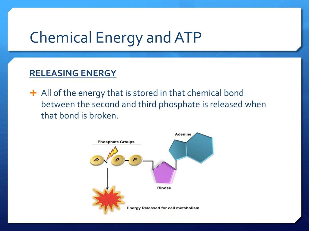 Photosynthesis & Cellular Respiration - ppt download